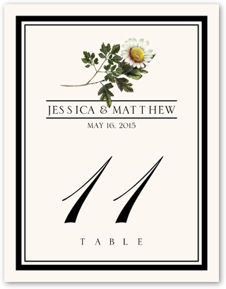 Daisy Flower Assortment Wedding Table Number